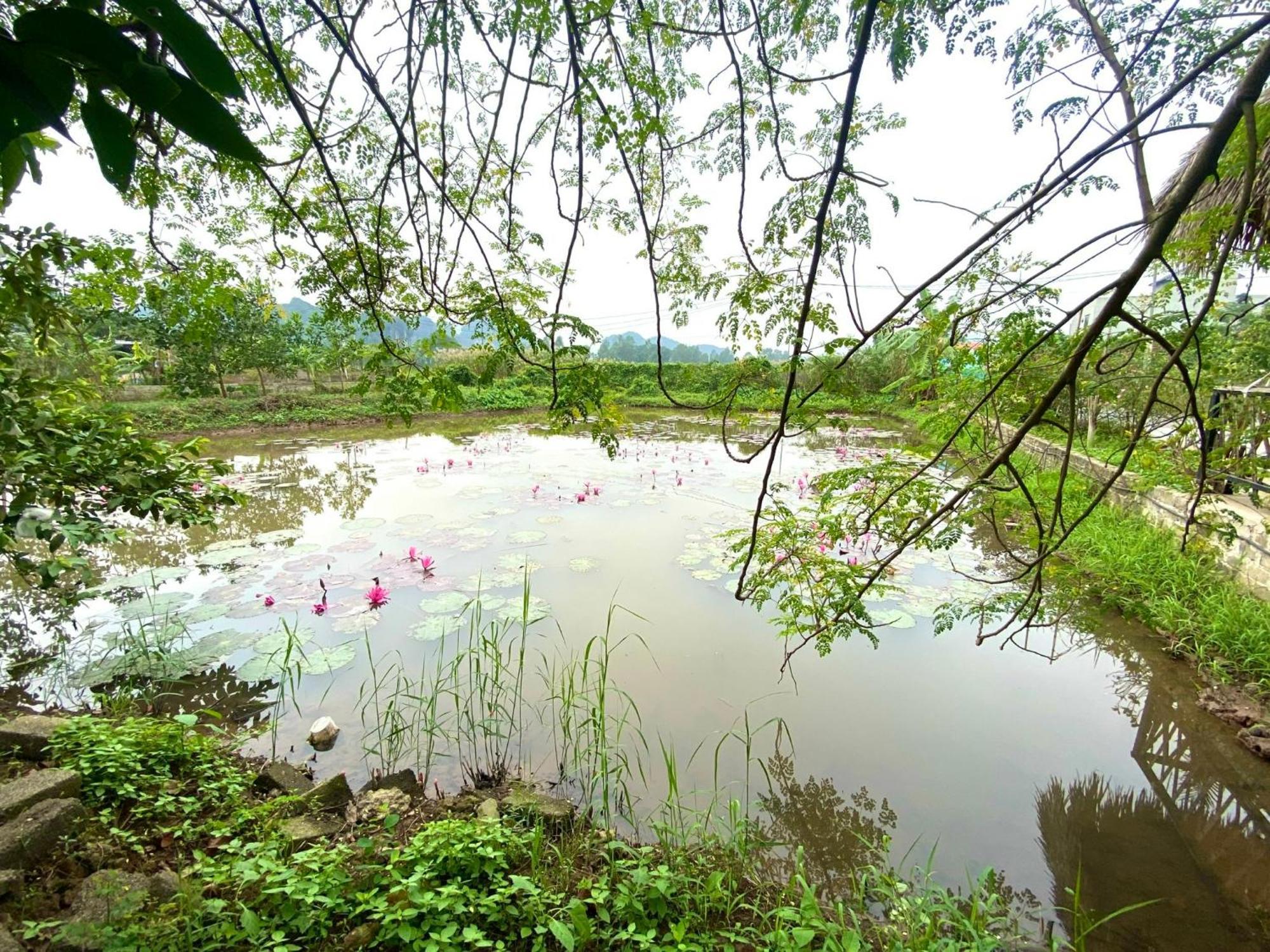 Nan House - Tam Coc Hotel Ninh Binh Bagian luar foto